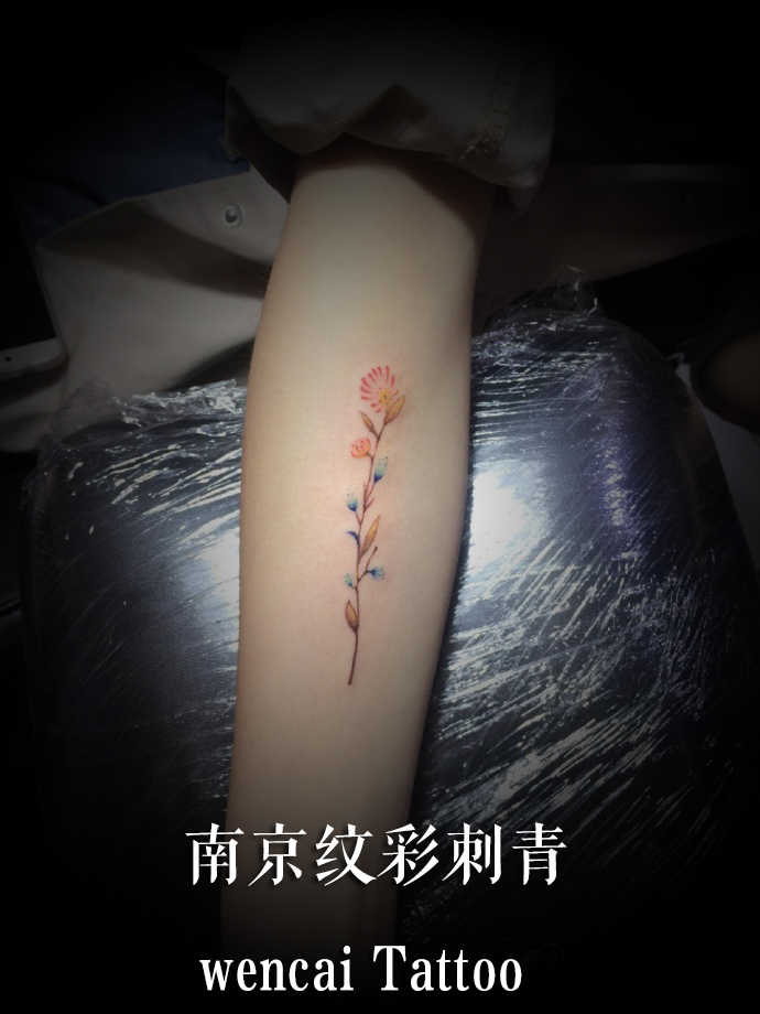 南京纹彩纹身店的小臂小清新纹身作品