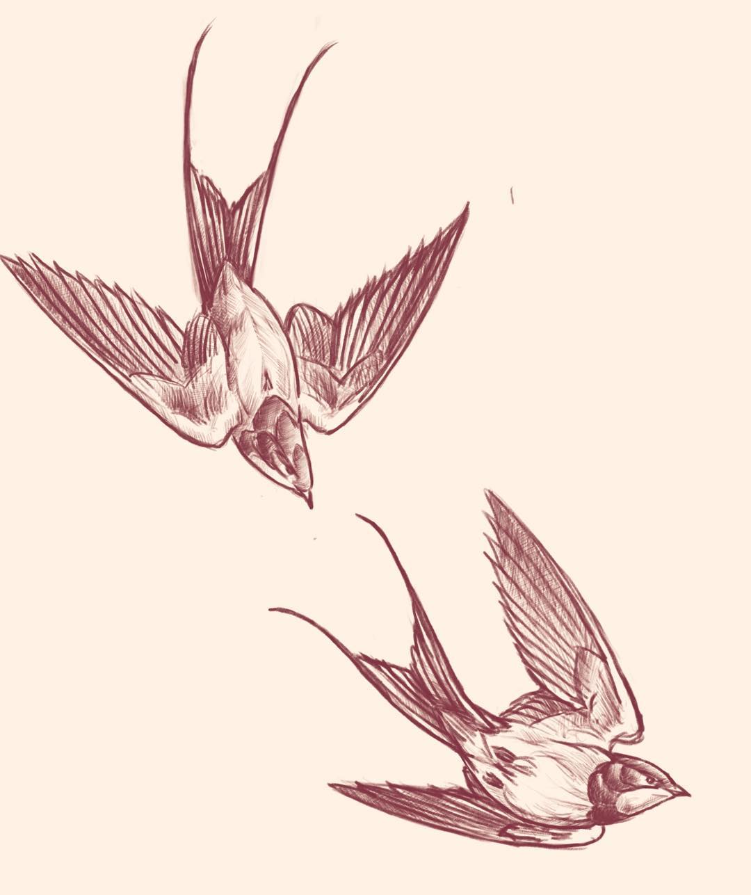ָ