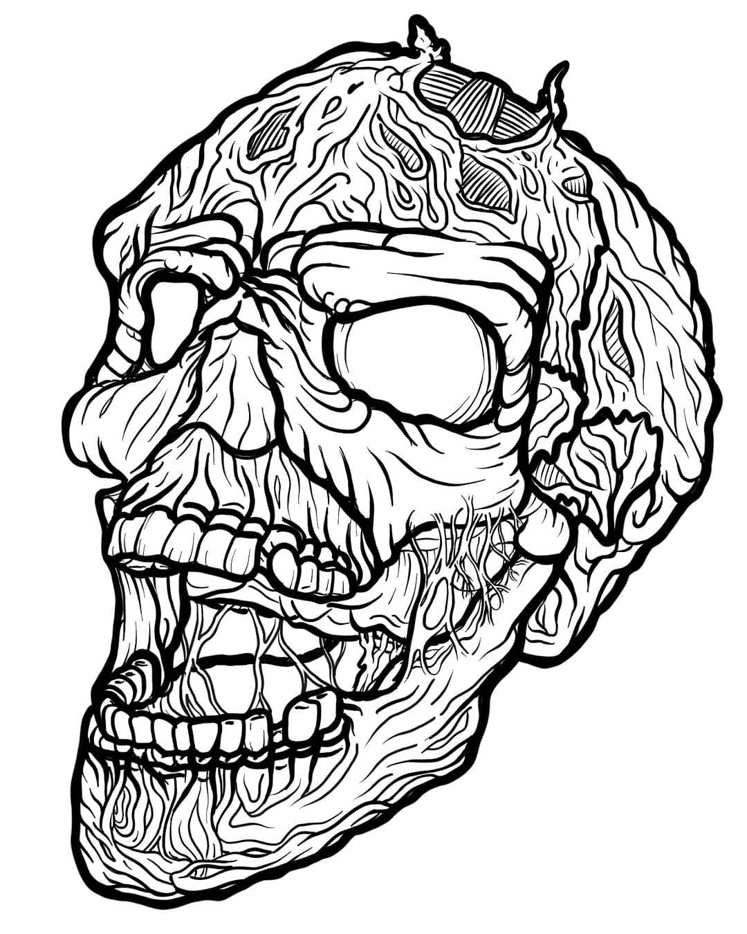 ָ